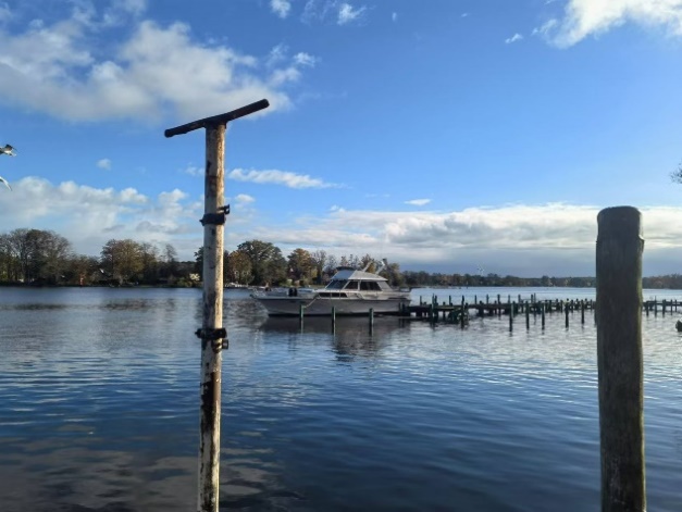 1723597039388415.jpg 1723597039388415.jpg